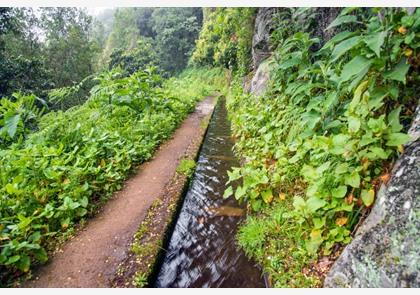 Andere bezienswaardigheden en typisch Madeira