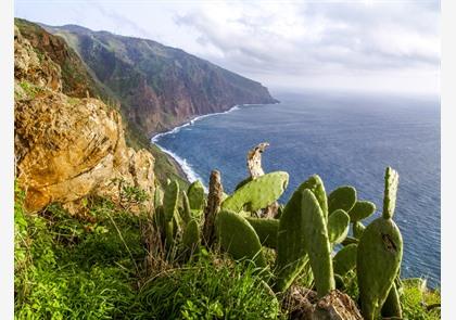 Andere bezienswaardigheden en typisch Madeira