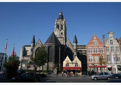 Oudenaarde: Stadhuis spant de kroon maar er is veel méér