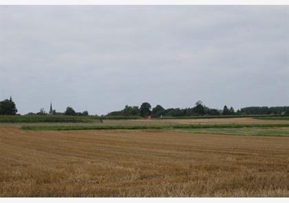 Hageland: verrassend heuvelend Boutersem 