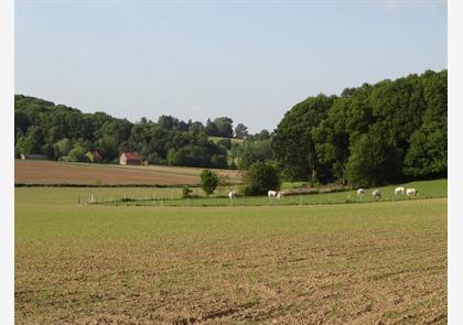 Hageland: verrassend heuvelend Boutersem 