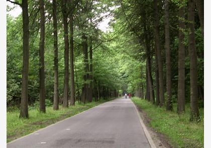 Brasschaat: museum Gunfire en kinderboerderij Miker