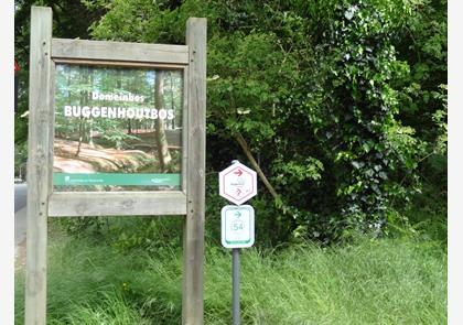 Buggenhout: bos en natuurgebied Vlassenbroek