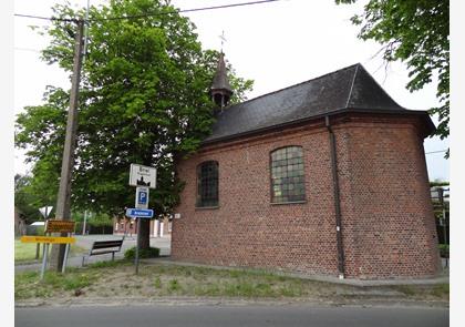 Buggenhout: bos en natuurgebied Vlassenbroek