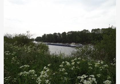 Buggenhout: bos en natuurgebied Vlassenbroek