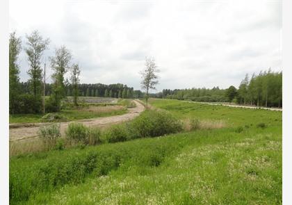 Buggenhout: bos en natuurgebied Vlassenbroek