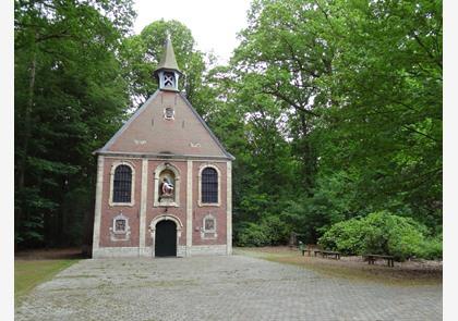 Buggenhout: bos en natuurgebied Vlassenbroek