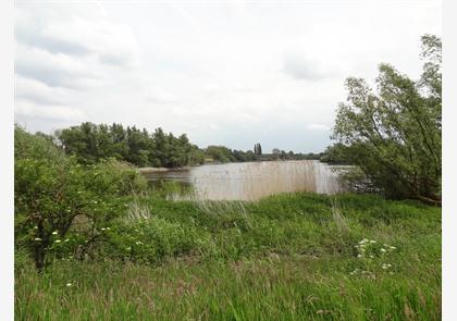 Buggenhout: bos en natuurgebied Vlassenbroek