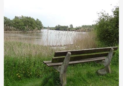 Buggenhout: bos en natuurgebied Vlassenbroek