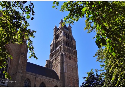 Brugge: culturele weelde op de Burg 