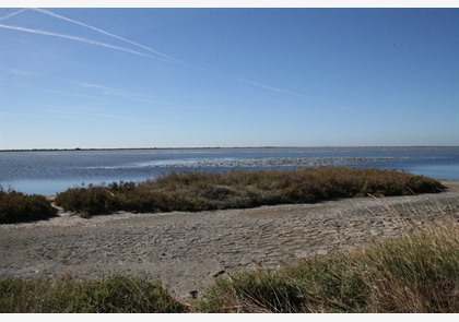 Camargue in de Provence: info en bezienswaardigheden