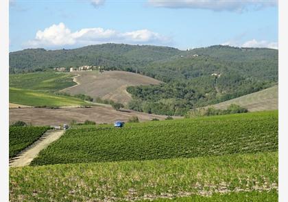 Vakantie Chianti-streek: proeven en genieten 