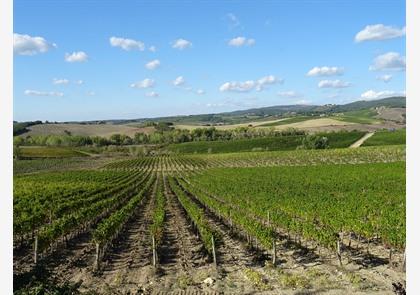 Vakantie Chianti-streek: proeven en genieten 