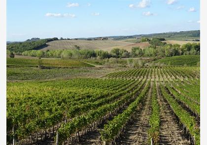 Vakantie Chianti-streek: proeven en genieten 