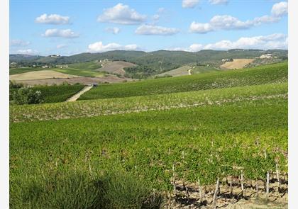 Vakantie Chianti-streek: proeven en genieten 