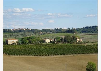 Vakantie Chianti-streek: proeven en genieten 