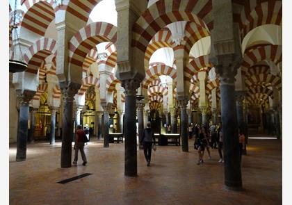 Cordoba: de Mezquita en véél meer te ontdekken
