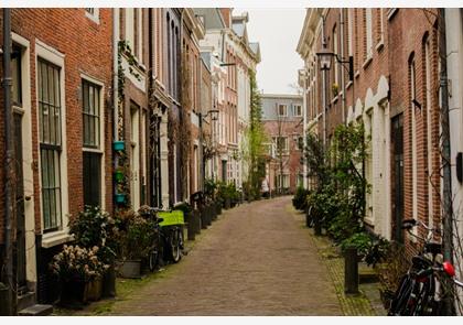 Curiosa in Haarlem: over bier, boekdrukkunst, 'groene' straten