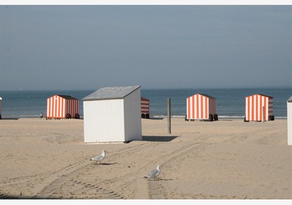 De Panne: natuur, ontspanning en architectuur