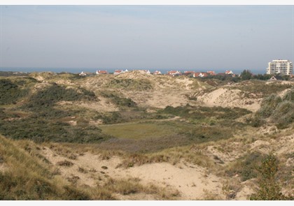 De Panne: natuur, ontspanning en architectuur