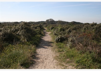 De Panne: natuur, ontspanning en architectuur