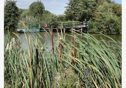 Leiestreek: Deinze pakt uit met zijn troeven