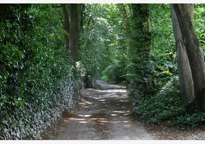 Leiestreek: Deurle, kunstenaarsdorp in het groen