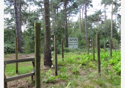 Doodendraad, een verschrikking langs de grens 