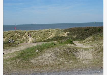 Duinenwandeling, genieten van diverse natuur in duinenlandschap