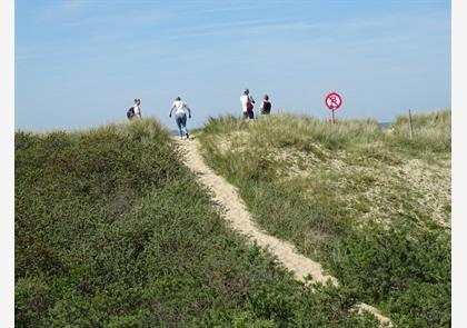 Duinenwandeling, genieten van diverse natuur in duinenlandschap