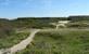 Duinenwandeling, genieten van diverse natuur in duinenlandschap