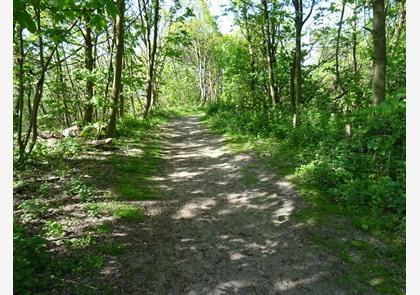 Duinenwandeling, genieten van diverse natuur in duinenlandschap