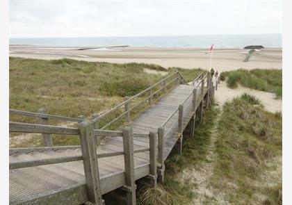 Duinenwandeling, genieten van diverse natuur in duinenlandschap