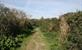 Duinenwandeling, genieten van diverse natuur in duinenlandschap