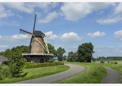 Zuidoost Nederland: 's Hertogenbosch