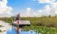 Everglades National Park bezoeken? Aligators en Airboat Tours !