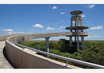 Everglades National Park bezoeken? Aligators en Airboat Tours !