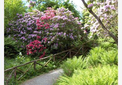 Bergen: excursies en uitstappen