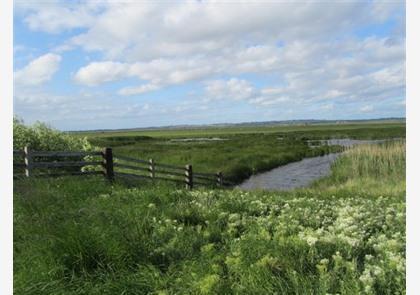 Kent: Faversham, veel cultuur en natuur