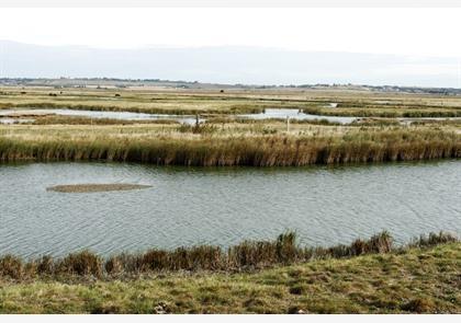 Kent: Faversham, veel cultuur en natuur