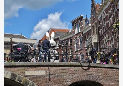 Fietsroute in de omgeving van Utrecht