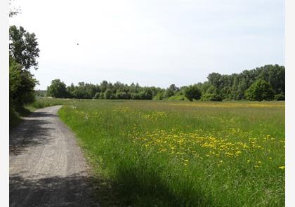 Verken het Hageland via fietsroutes