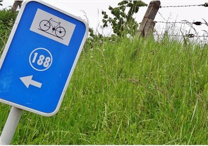 Haspengouw: fietsroutes in het teken van fruit en bier