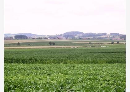 Fietsroutes Westhoek