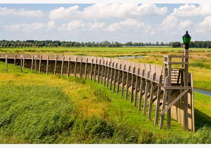 Midden-Nederland: Flevoland