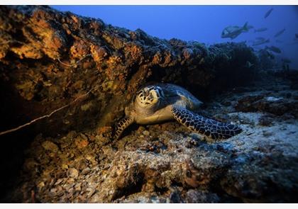 Florida Keys: een langgerekte eilandengroep