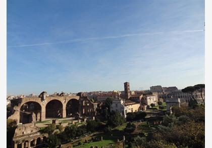 Forum Romanum: kloppend hart van antieke Rome