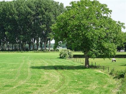 Foto's uit de Achterhoek (Nederland)