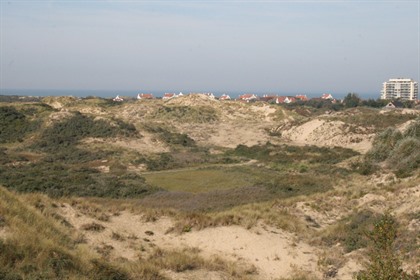 Foto's Belgische kust