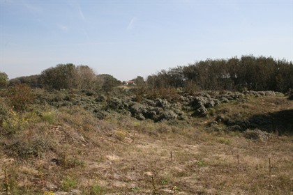 Foto's Belgische kust